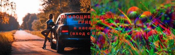 герыч Дмитровск