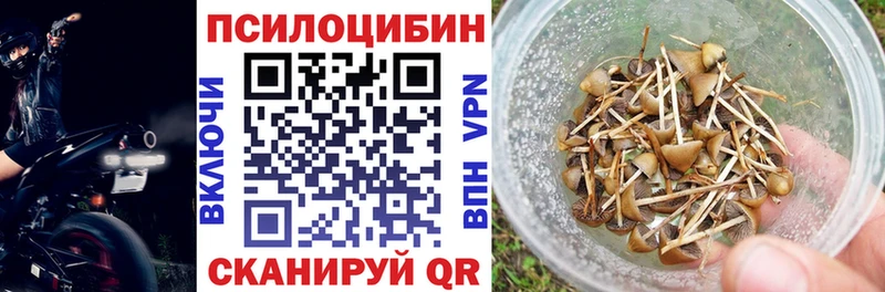 Псилоцибиновые грибы прущие грибы Ершов